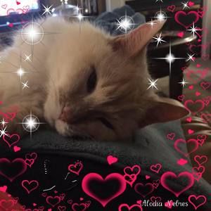 Meet your Posher, Barbara